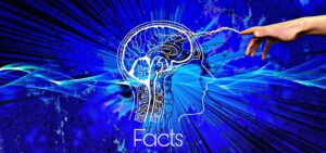 Interesting Facts about human brain 