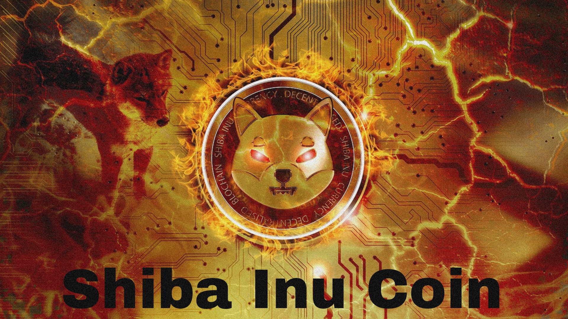 Shiba Inu Coin Latest News Today Price Has Increased » Crypto Currency